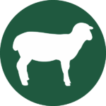 A green circle with the outline of a sheep in the center.